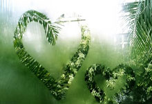 关于圣彼得堡球队客场赢球，喜获三分的信息